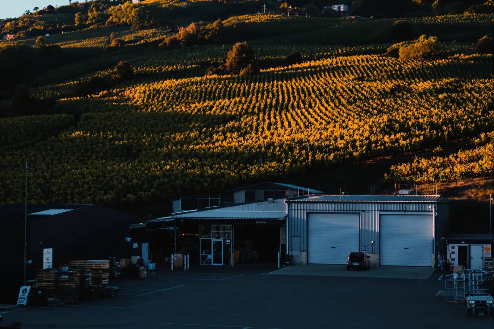 Gewerbegebiet am Hang mit Werkstattgebäuden, Weinberge steigen direkt dahinter an